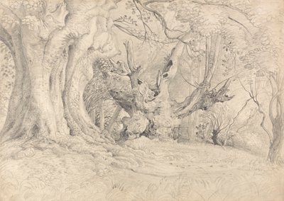 Ancient Trees, Lullingstone Park 作： Samuel Palmer