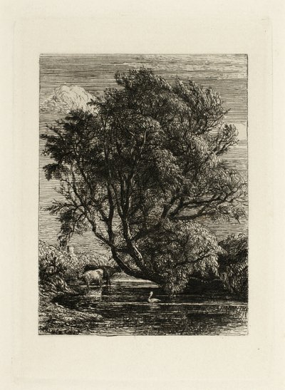 柳 作： Samuel Palmer