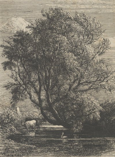 柳、1850年。 作： Samuel Palmer
