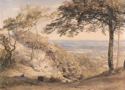 ケント州ウィルモッツ ヒル 作： Samuel Palmer