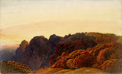 黄色い夕暮れ、c1830 作： Samuel Palmer