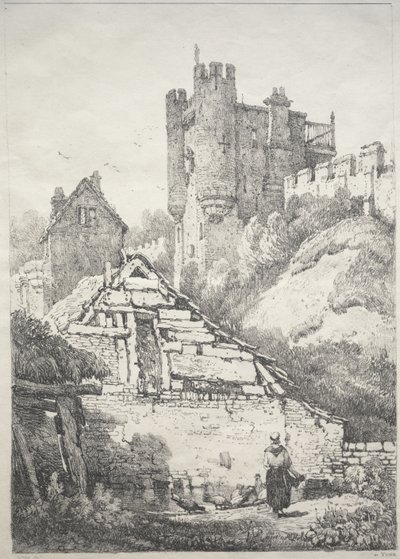 イングランド北部の一連の古代の建物と田舎のコテージ: 鶏のいる農場、ヨークで 作： Samuel Prout