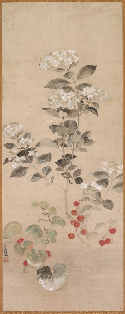 夏の花 作： Samuel Prout
