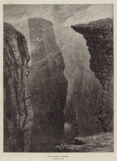 ケイスの海岸で 作： Samuel Read