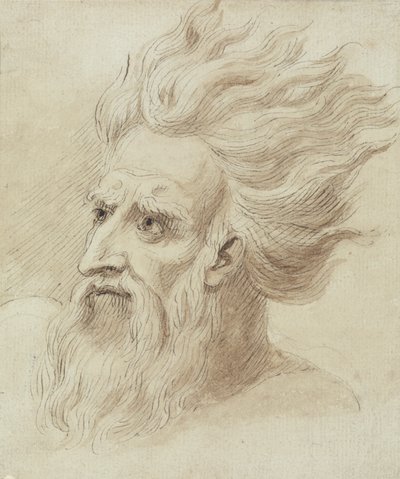 ひげと長い髪の男の頭が風になびく 作： Samuel de Wilde