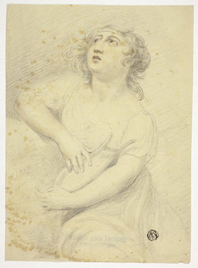 竪琴を持つ女性 作： Samuel de Wilde