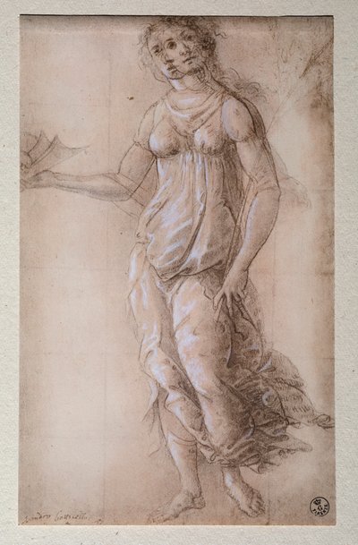 パラス（ドローイング、1491年以降 作： Sandro Botticelli
