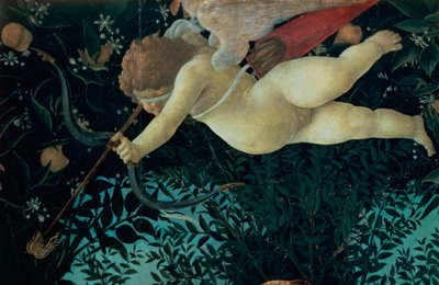 558のパネル詳細のプリマベーラテンペラからのキューピッドの詳細 作： Sandro Botticelli