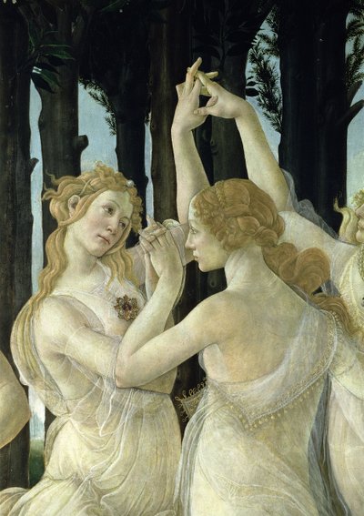 558のパネル詳細のプリマベーラテンペラからの3つの美神のうちの2つの詳細 作： Sandro Botticelli