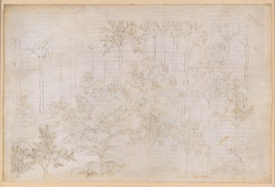 『神曲』、煉獄篇第33歌。地上の楽園：美徳の輪の中にいるベアトリーチェ；出発；エウノーエ川でのダンテの入浴 作： Sandro Botticelli
