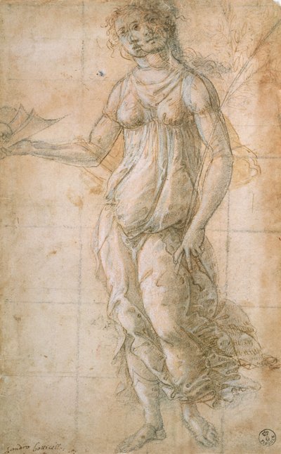 アテネの研究（ドローイング） 作： Sandro Botticelli
