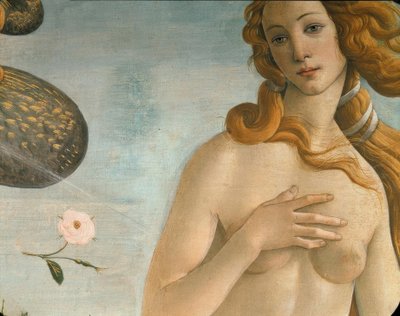 金星の誕生（金星アナディオメン） 作： Sandro Botticelli