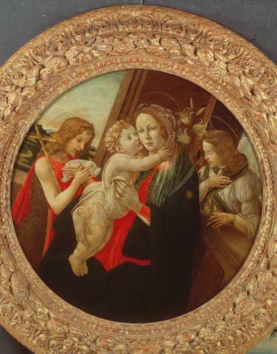 不明な画像 作： Sandro Botticelli