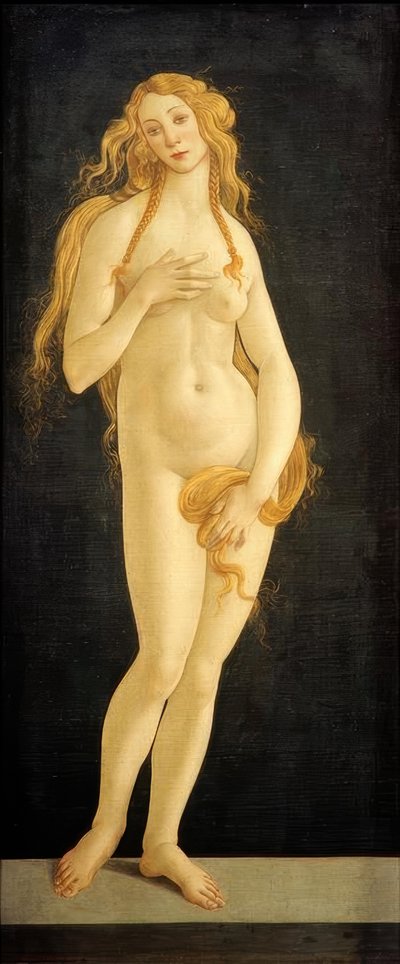 金星 作： Sandro Botticelli
