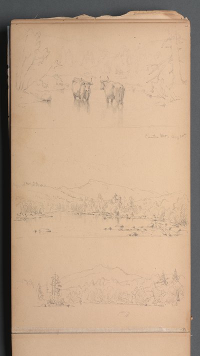 スケッチブック、07ページ："カーター山（？ 作： Sanford Robinson Gifford
