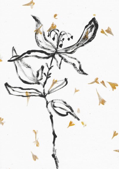 繊細な花のスケッチ 作： 