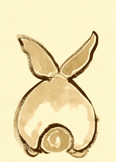 遊び好きなウサギの背中 作： 