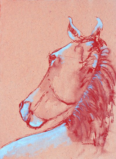 S56 作： Santhosh ch