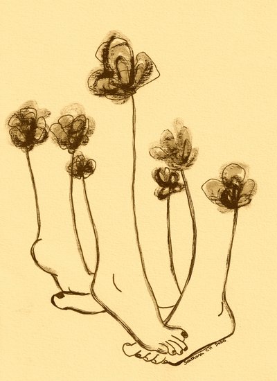 風変わりな足の花 作： 