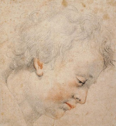 右側の横顔の若い男性の頭 作： Santi di Tito