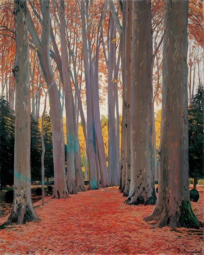 Sycamore Avenue 作： Santiago Rusiñol