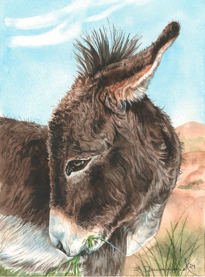 Bashful, 2024 （紙に水彩画） 作： Sarah Drummond