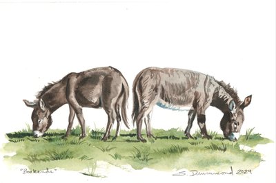 ブックエンド、2024年（紙に水彩画） 作： Sarah Drummond