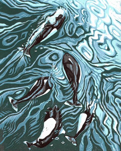 ウェイクライダーズ、2016年（リノカット） 作： Sarah Drummond