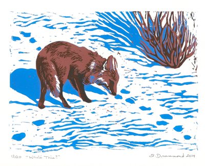 これは何ですか？ 作： Sarah Drummond