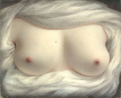 明らかにされた美しさ、1828年。 作： Sarah Goodridge
