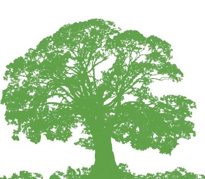 Climbing Tree、2009（デジタル） 作： Sarah Hough