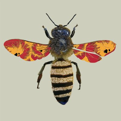 Honey Bee、2010（デジタル） 作： Sarah Hough