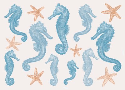 タツノオトシゴとヒトデ、2017年 作： Sarah Hough