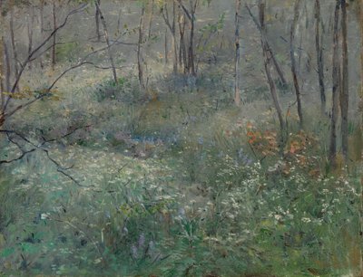 ワイルドパセリ、1900年。 作： Sarah Paxton Ball Dodson