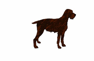 犬,2018,(デジタルドローイング) 作： Sarah Thompson Engels