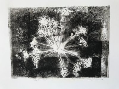 シードヘッドII,2020,(モノプリント) 作： Sarah Thompson Engels