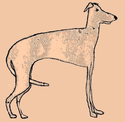 細い犬 作： Sarah Thompson Engels