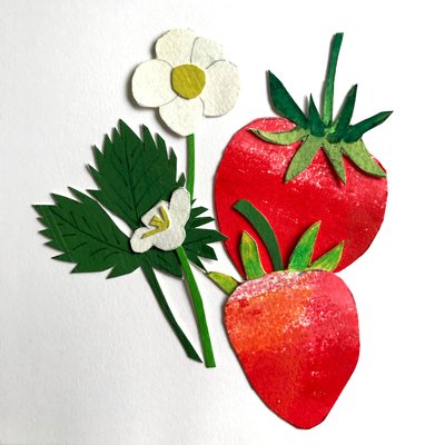 イチゴ,2019（コラージュ 作： Sarah Thompson Engels