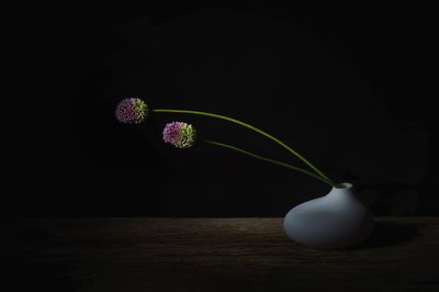  作： 