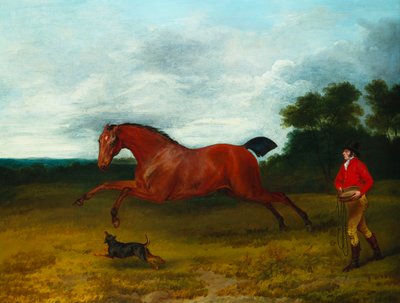 元気な種牡馬を連れてくるテリアのある新郎 作： Sawrey Gilpin