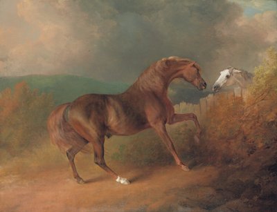 ソーンビルロイヤル、1792年、ソーントン大佐の木星、タートルのマーレ、フェンスのそばのグレイマーレのエクリプスからの日食 作： Sawrey Gilpin