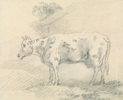 Lehmä 作： Sawrey Gilpin