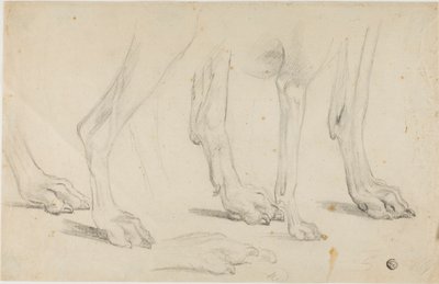 犬の足 作： Sawrey Gilpin