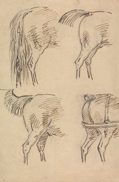 馬の後部の 4 つのスケッチ 作： Sawrey Gilpin