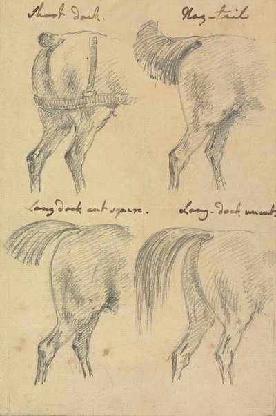 Quatro esboços de rabos de cavalo 作： Sawrey Gilpin