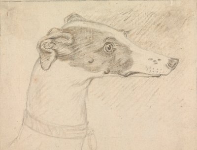 グレイハウンドの頭の肖像画 作： Sawrey Gilpin