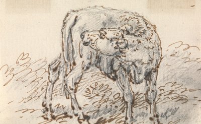 子牛の研究 作： Sawrey Gilpin