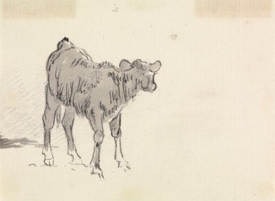 子牛の研究 作： Sawrey Gilpin