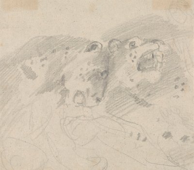 2 頭のヒョウ 作： Sawrey Gilpin