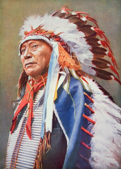 チーフ・ホロー・ホーン・ベア（1850-1913）（カラーリトグラフ 作： School American
